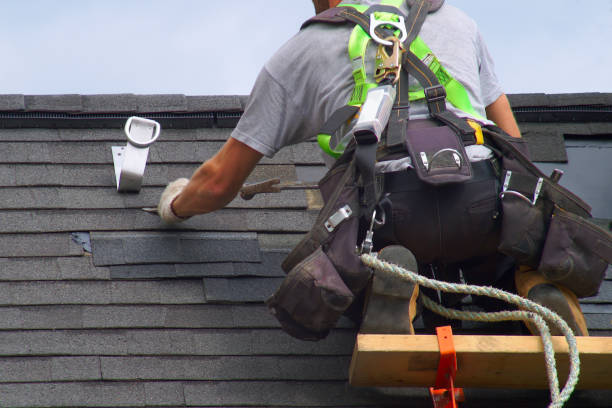 Best Roof Gutter Cleaning  in First Mesa, AZ
